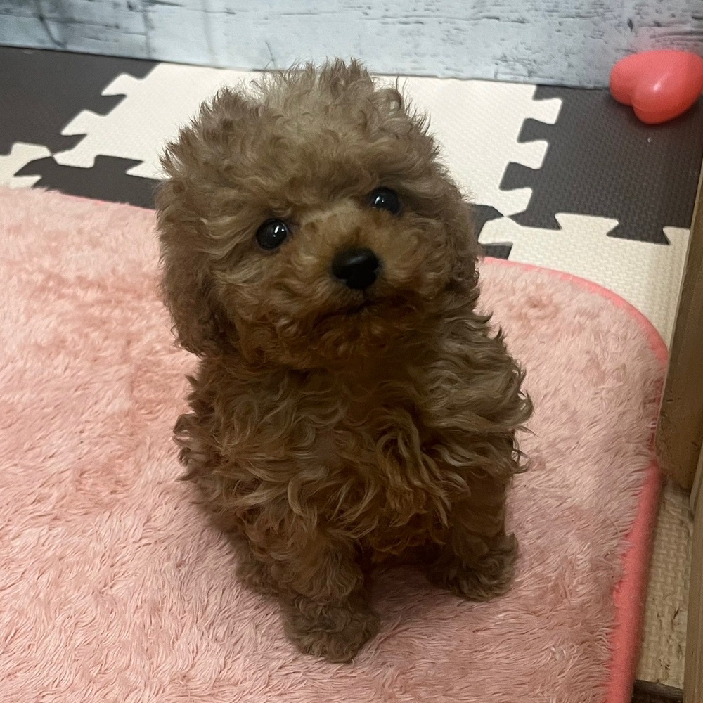 生体画像8