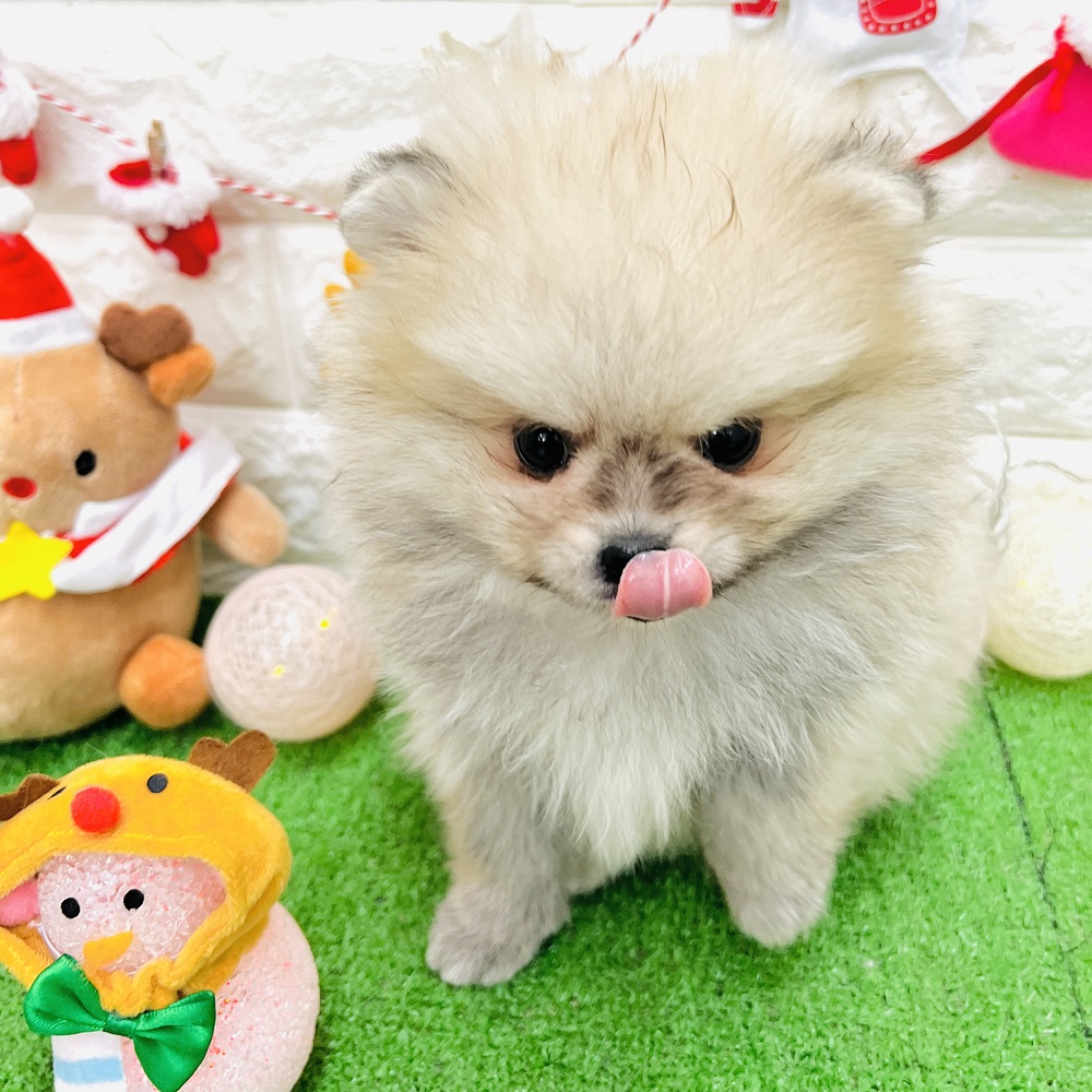 生体画像8