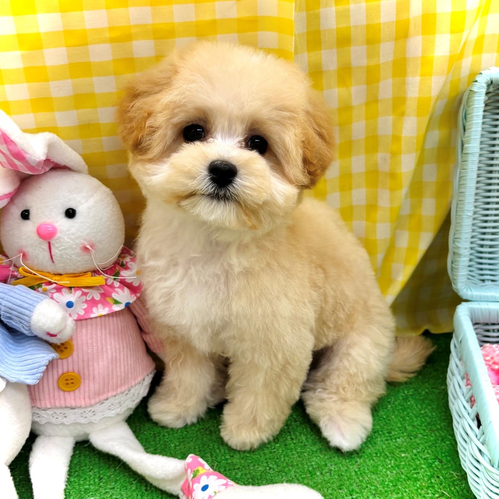 生体画像８