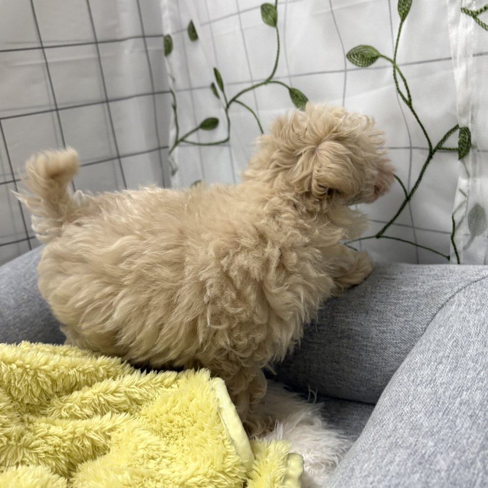 生体画像８