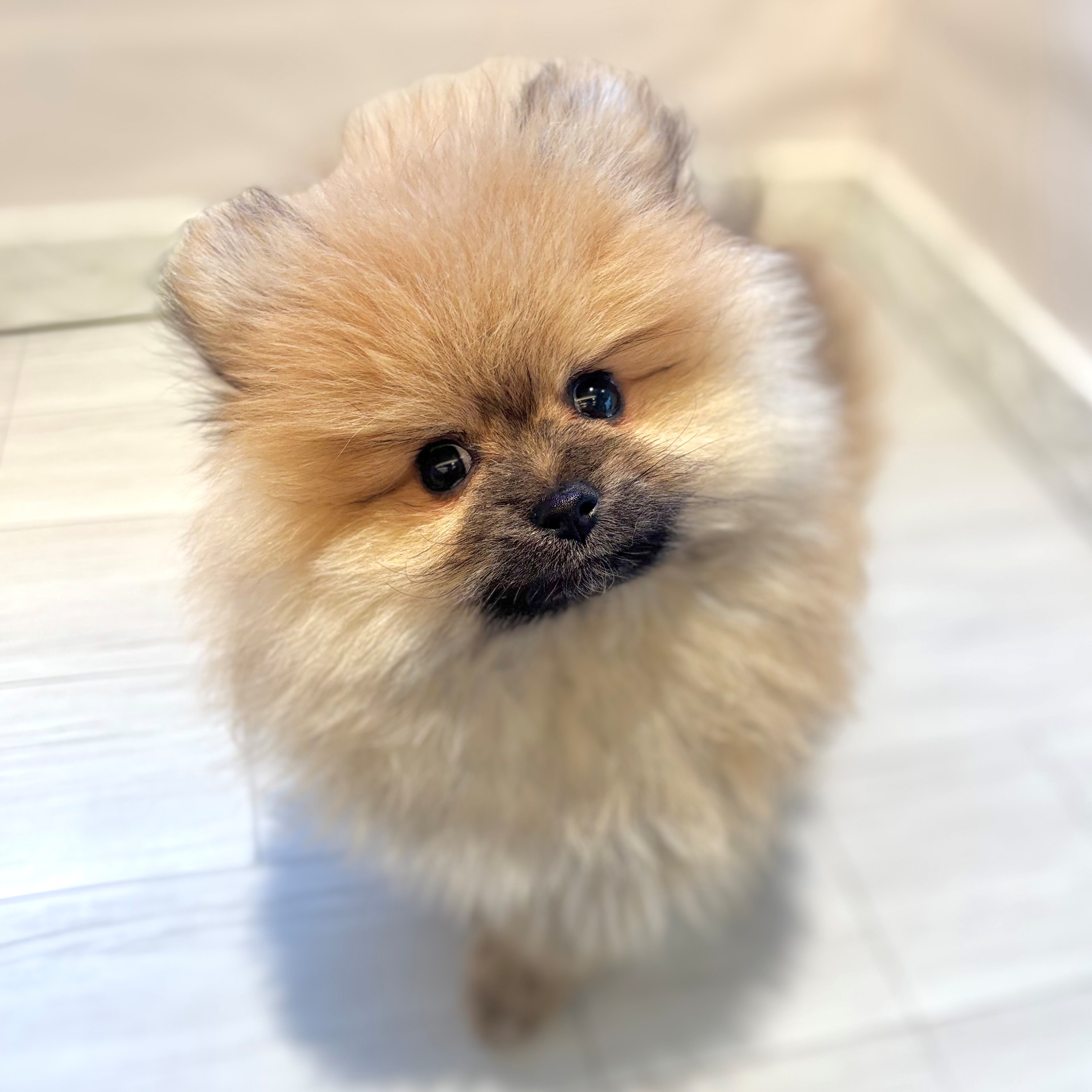 生体画像８