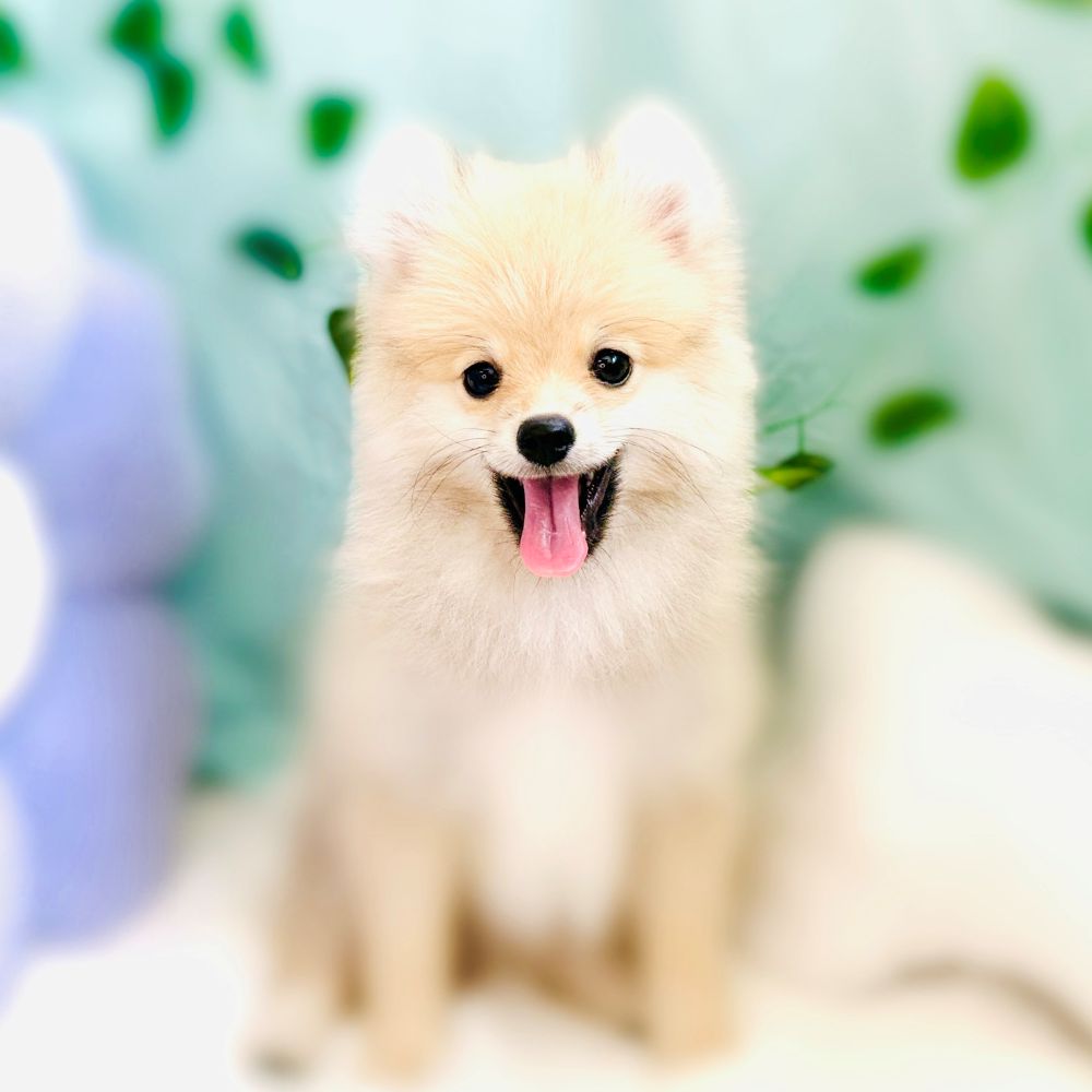 生体画像８