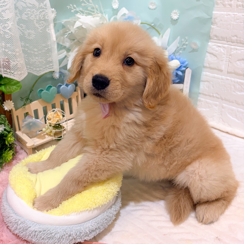 生体画像８