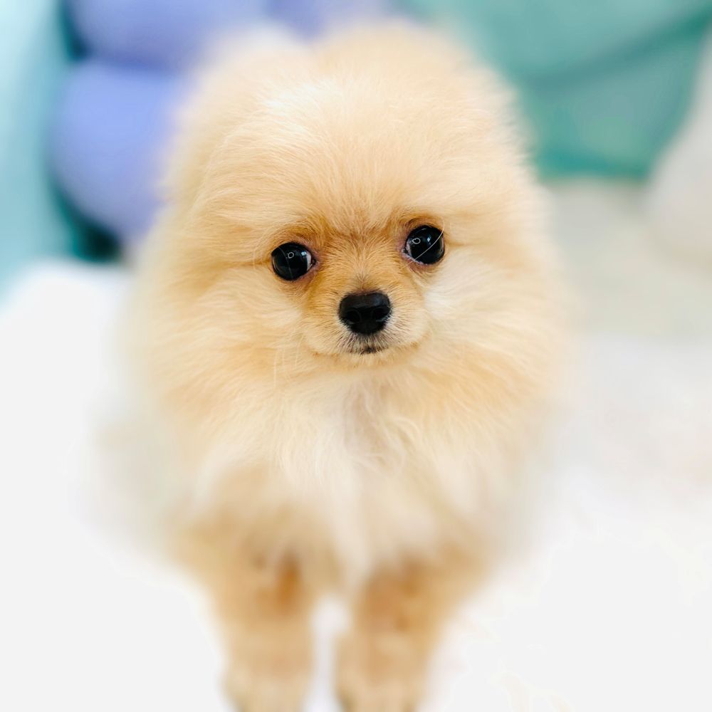 生体画像８
