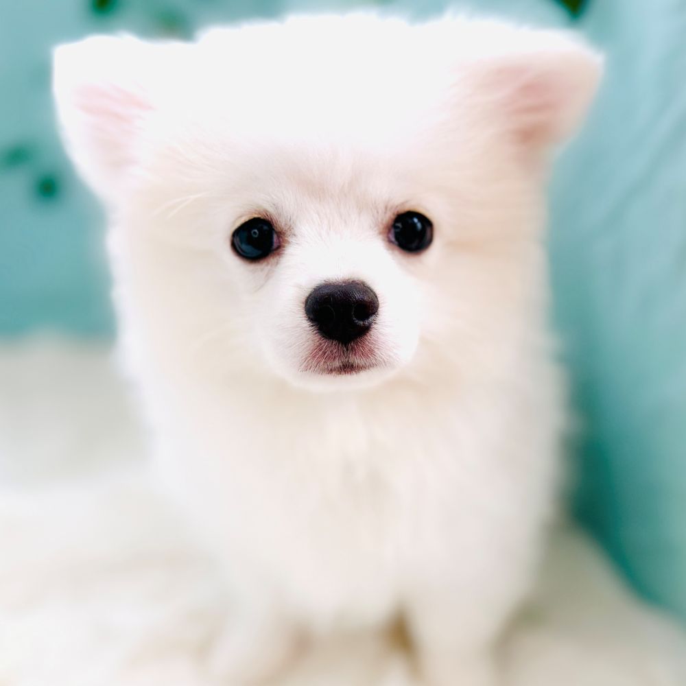 生体画像８