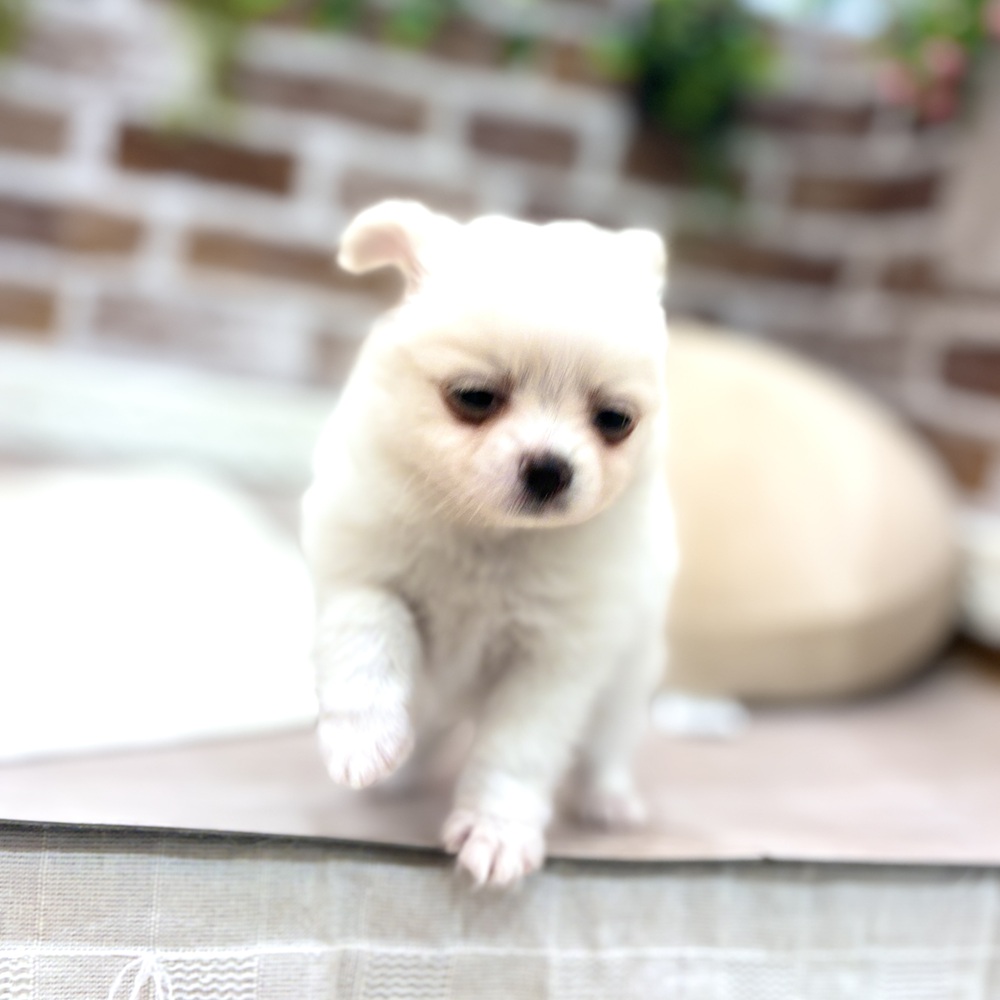 生体画像８