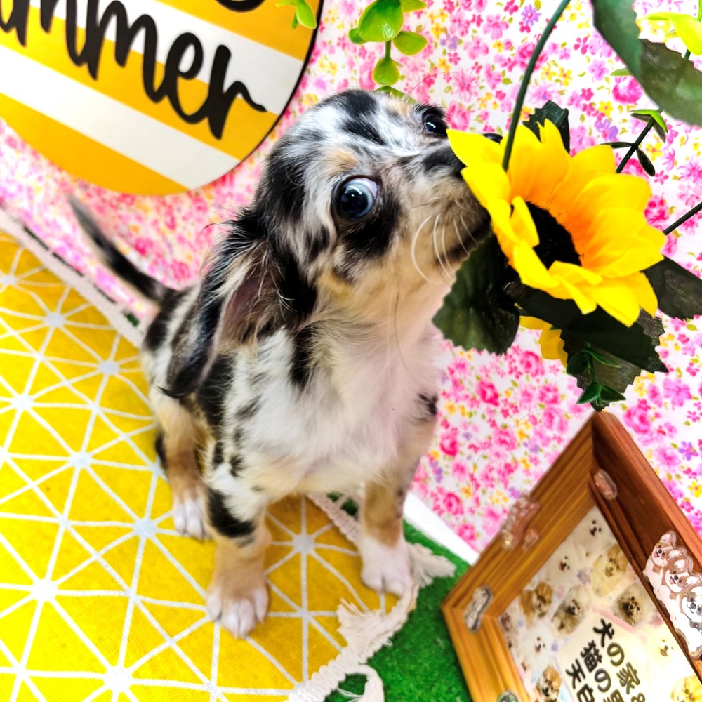 生体画像８