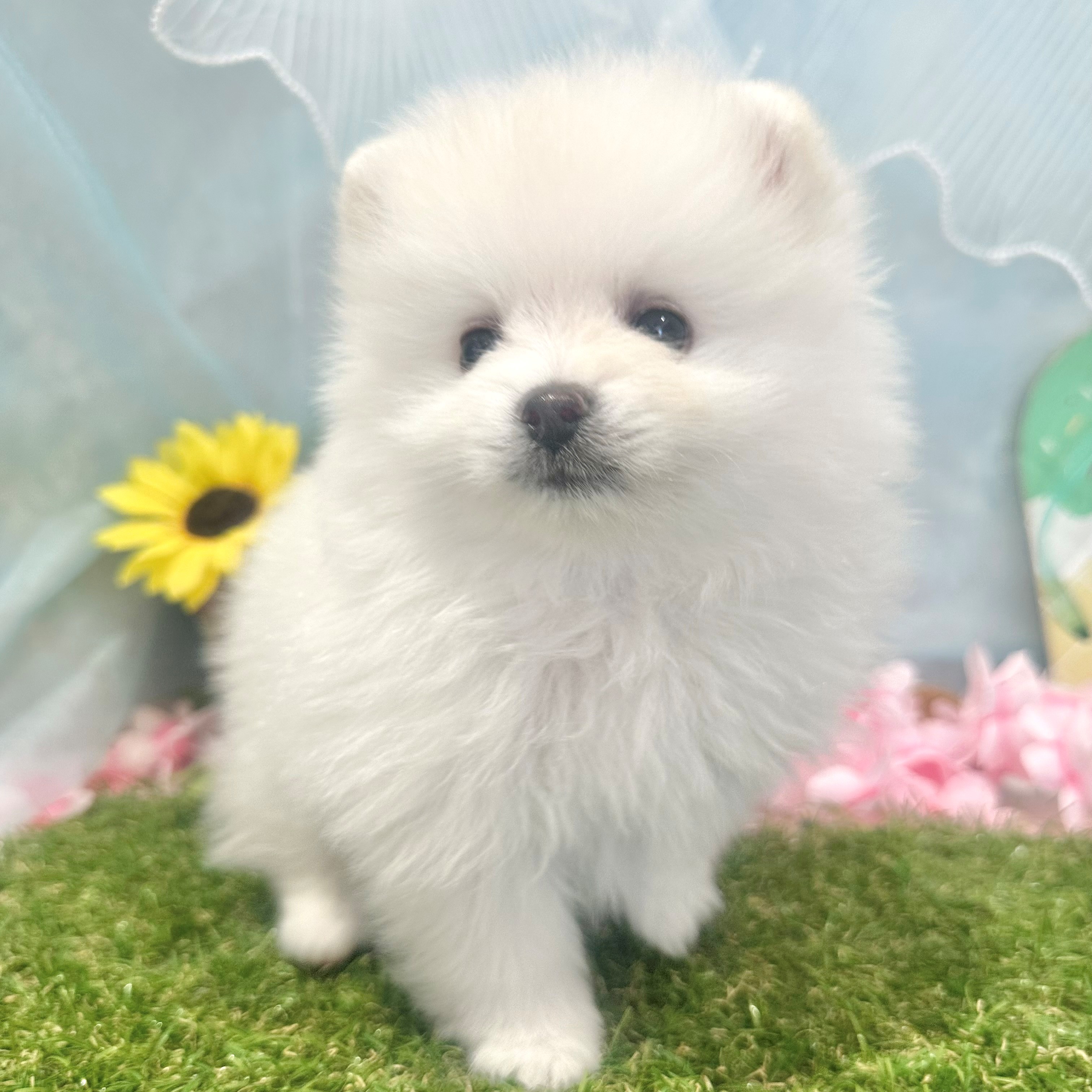 生体画像８