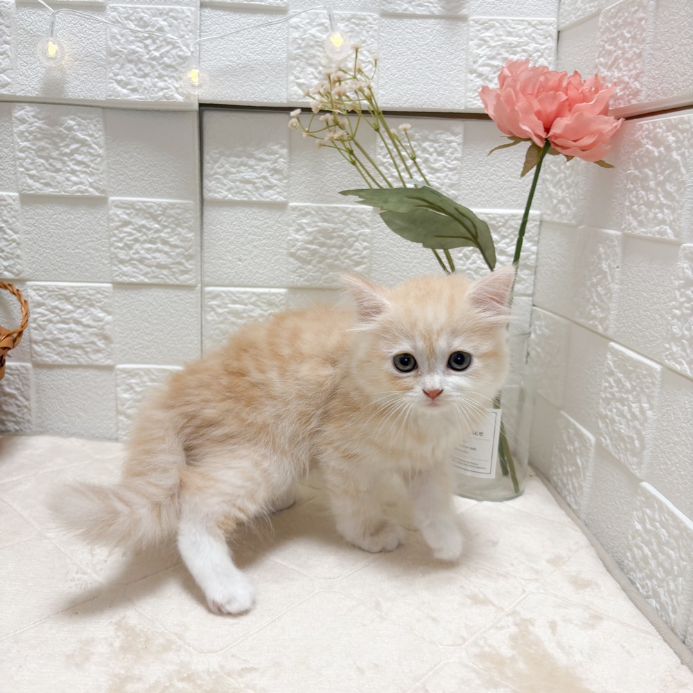 生体画像8
