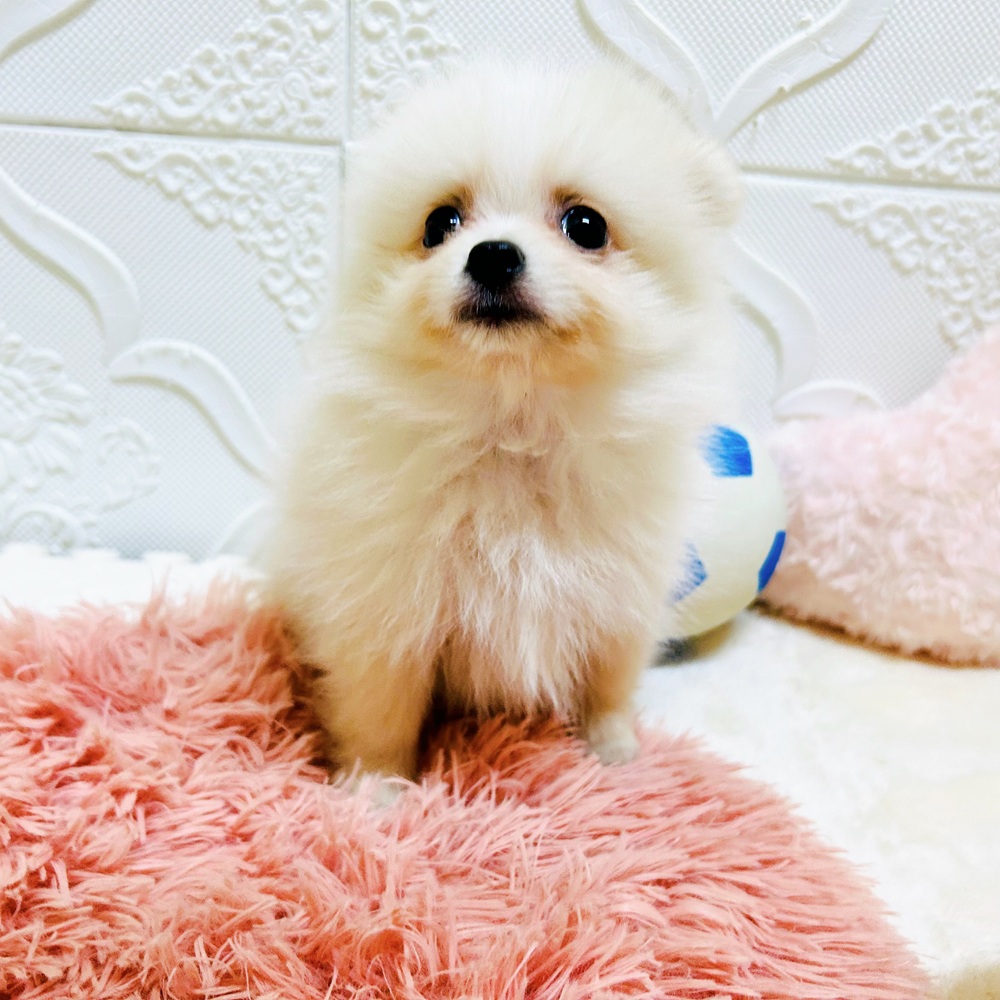 生体画像８