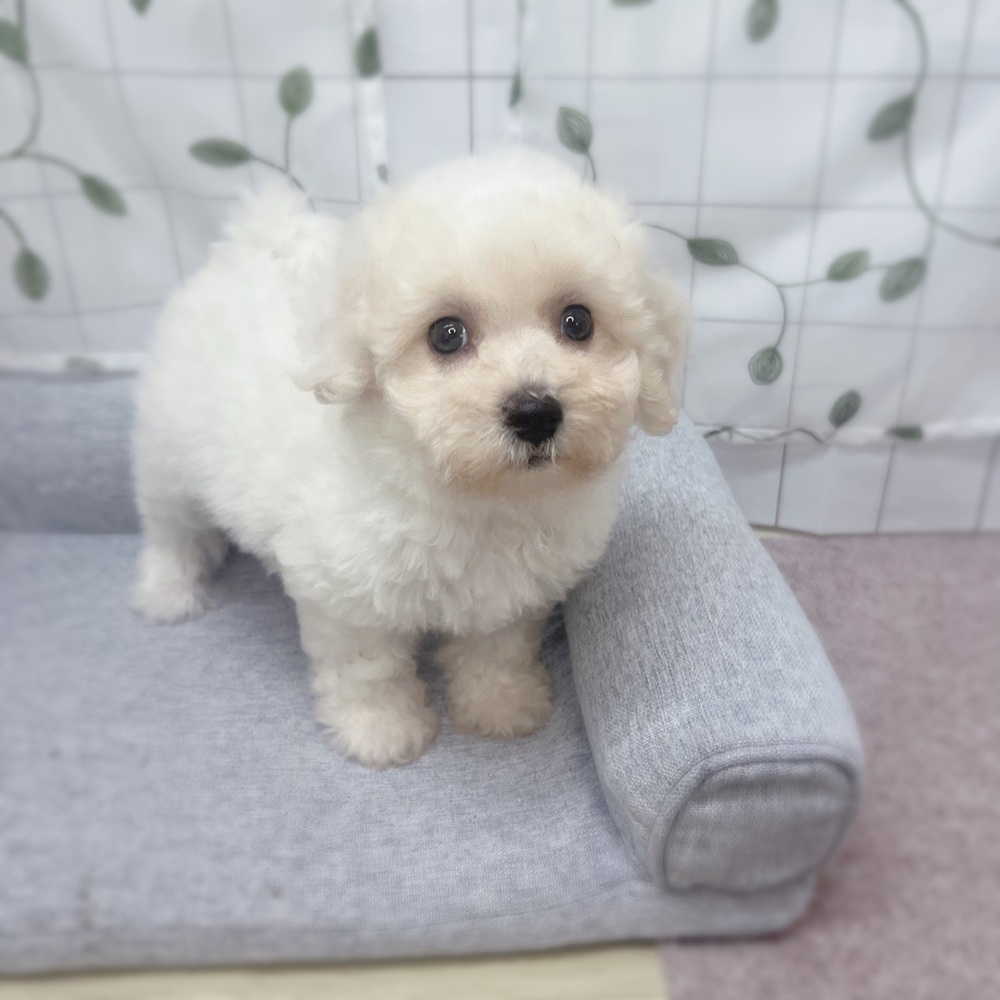 生体画像８