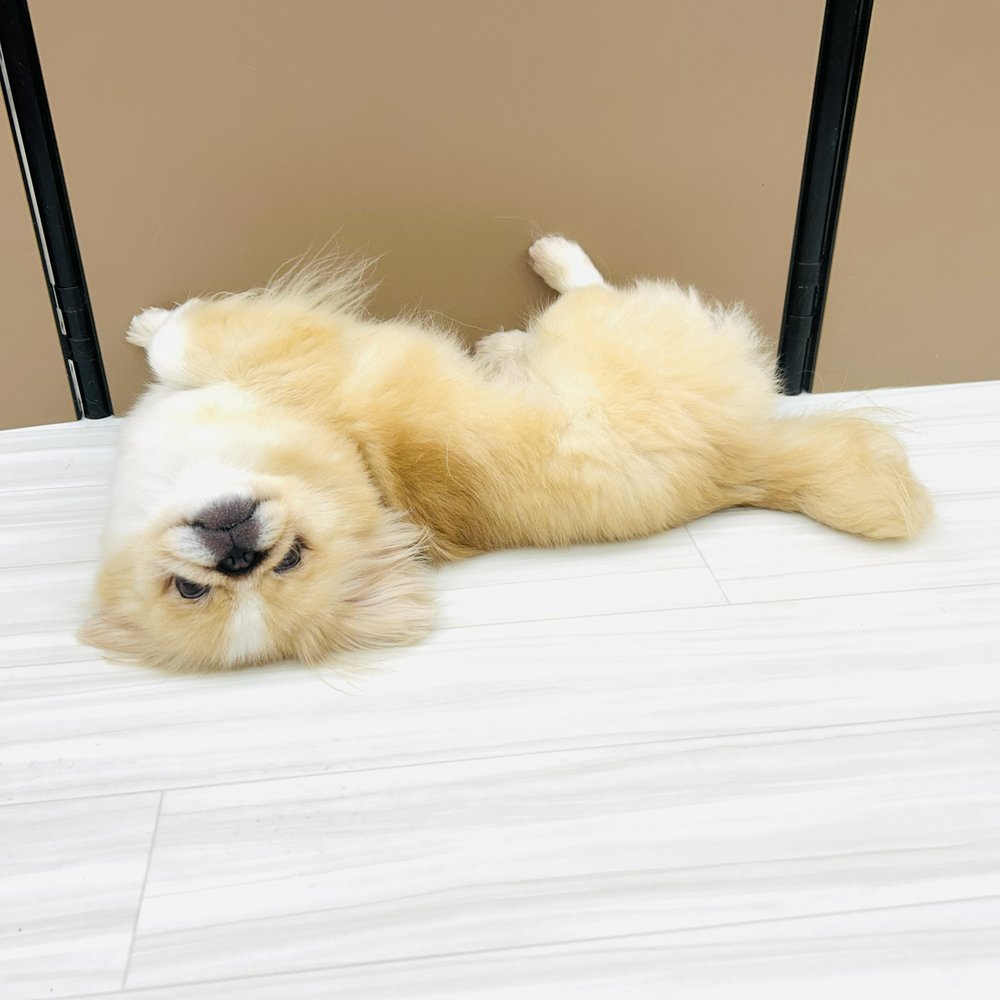 生体画像９