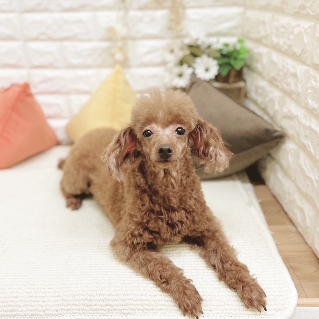 2番見られている子の画像