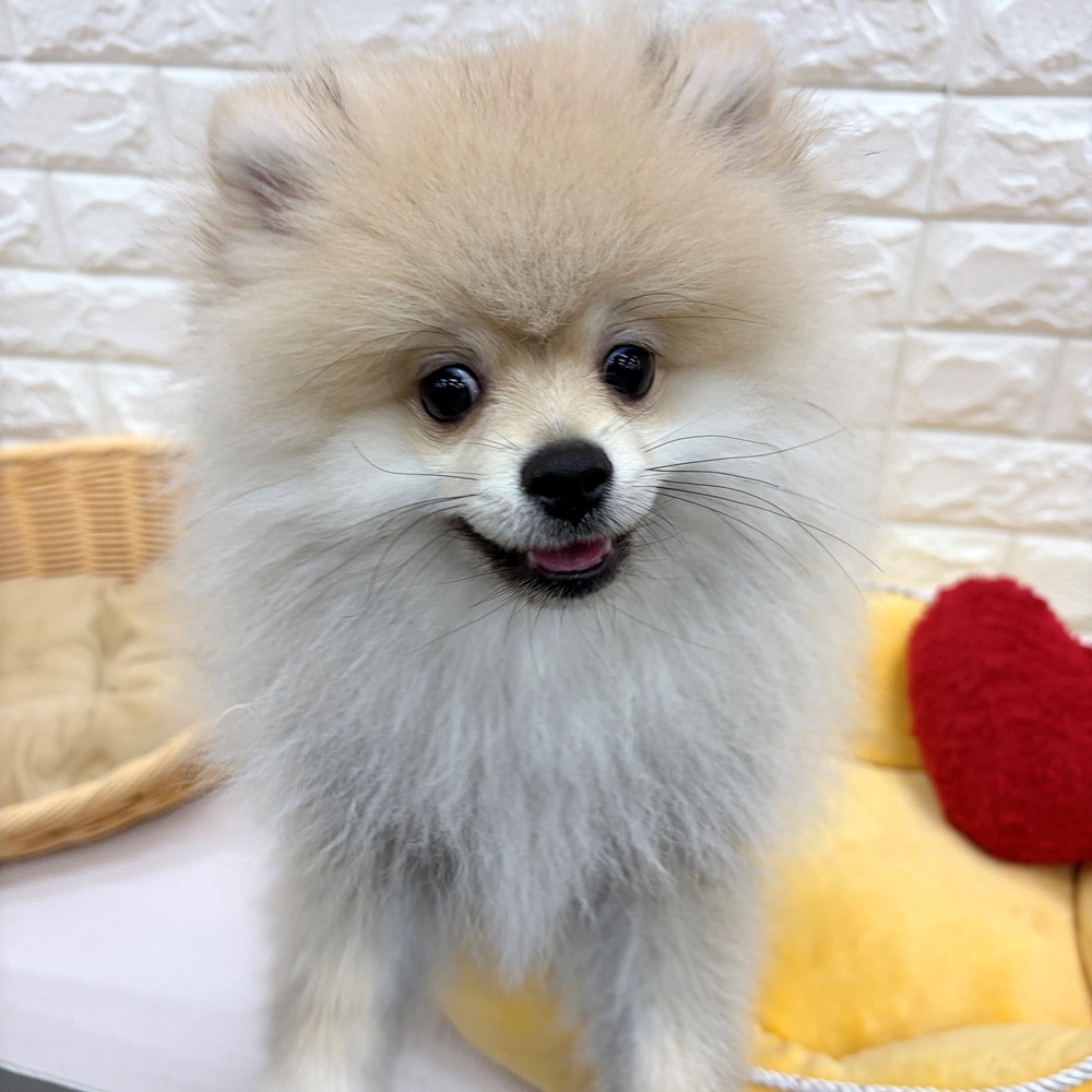 生体画像9