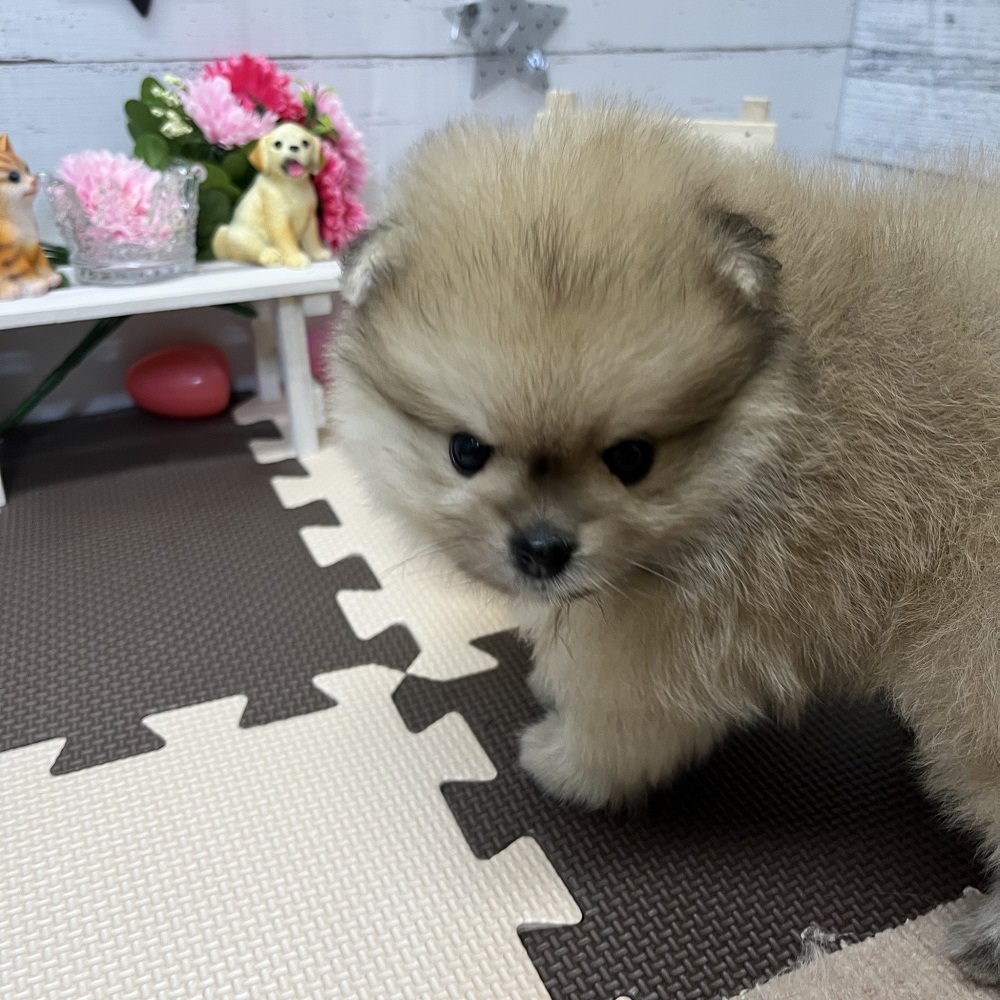 生体画像９