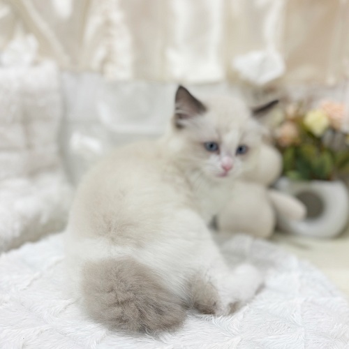 生体画像９