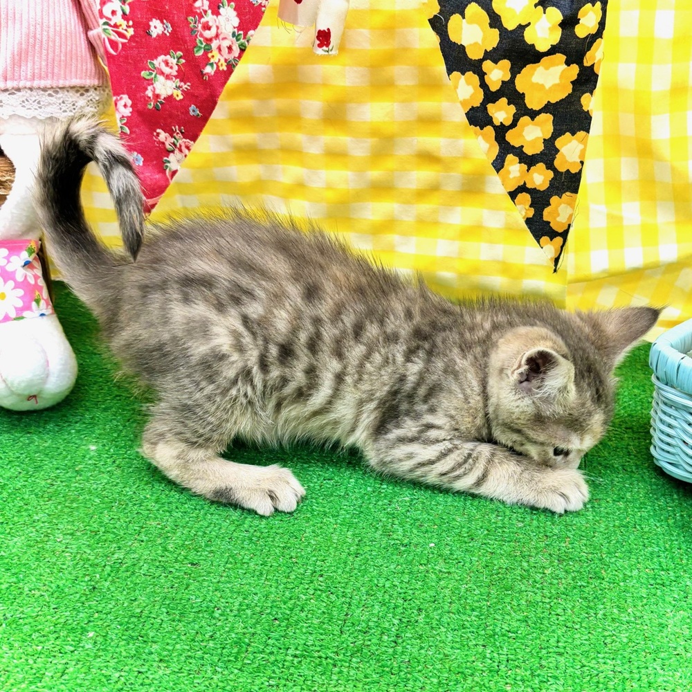 生体画像９