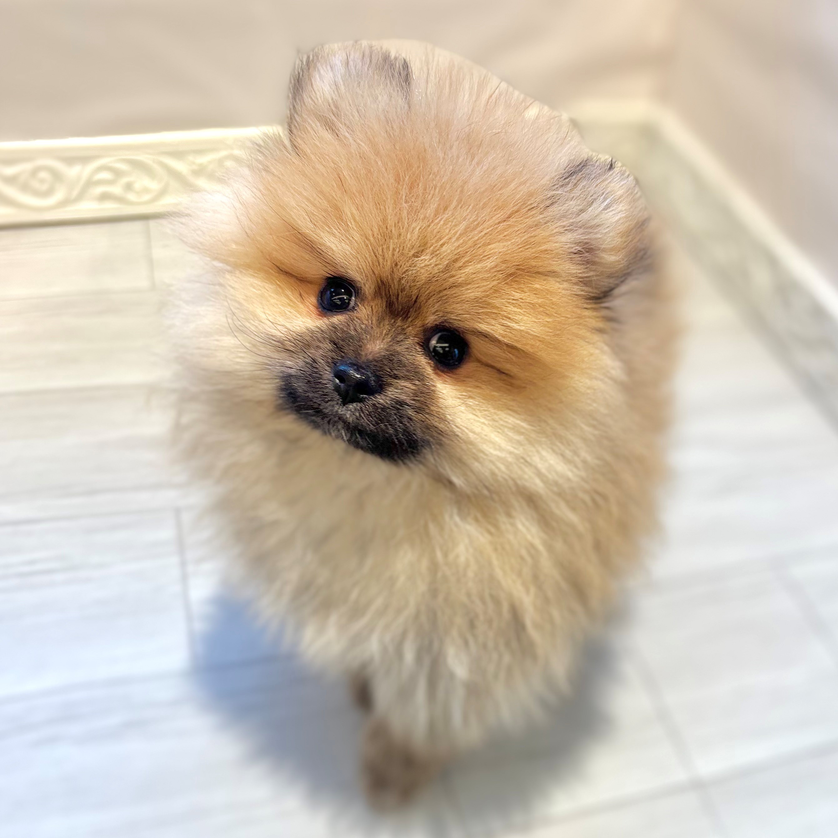 生体画像９