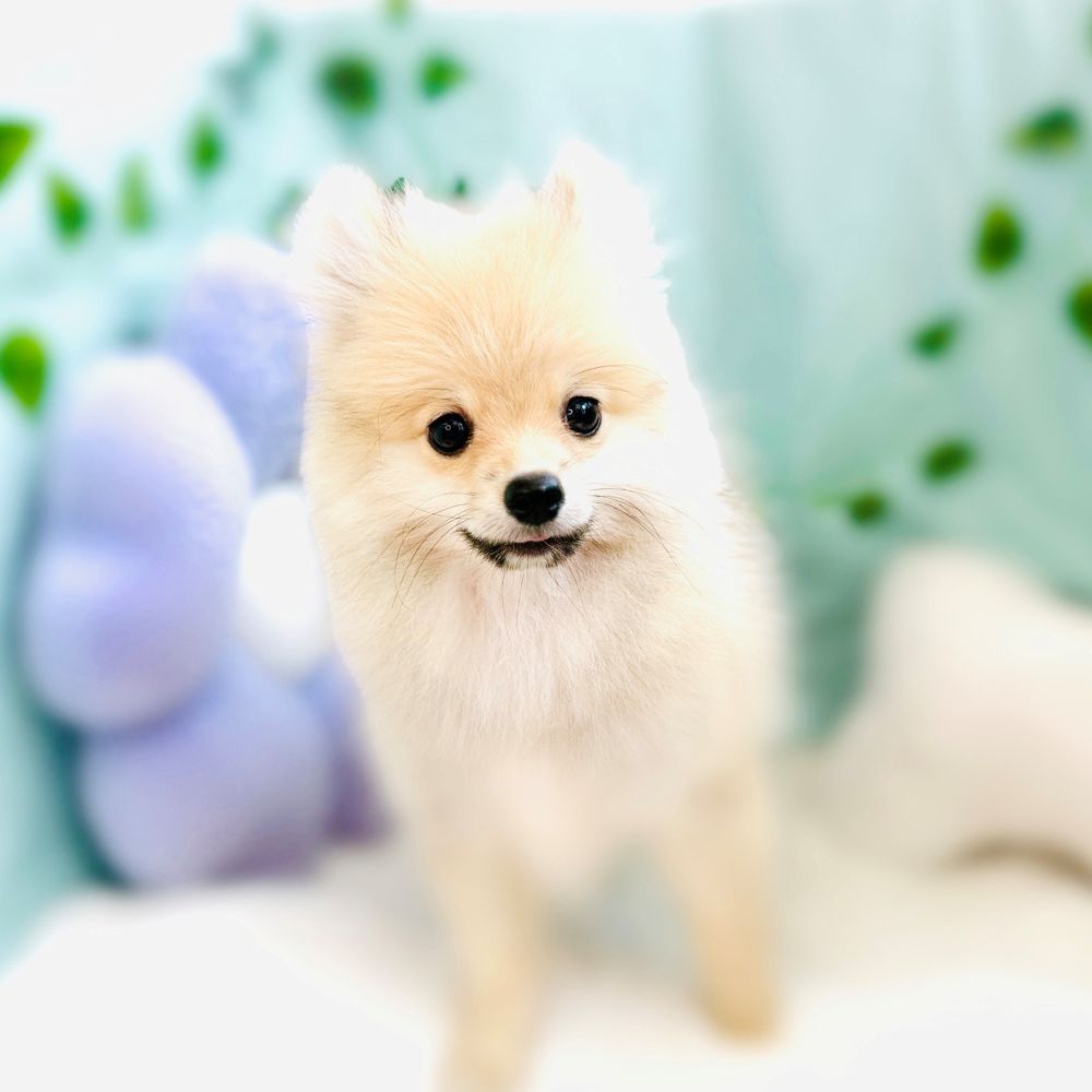 生体画像９