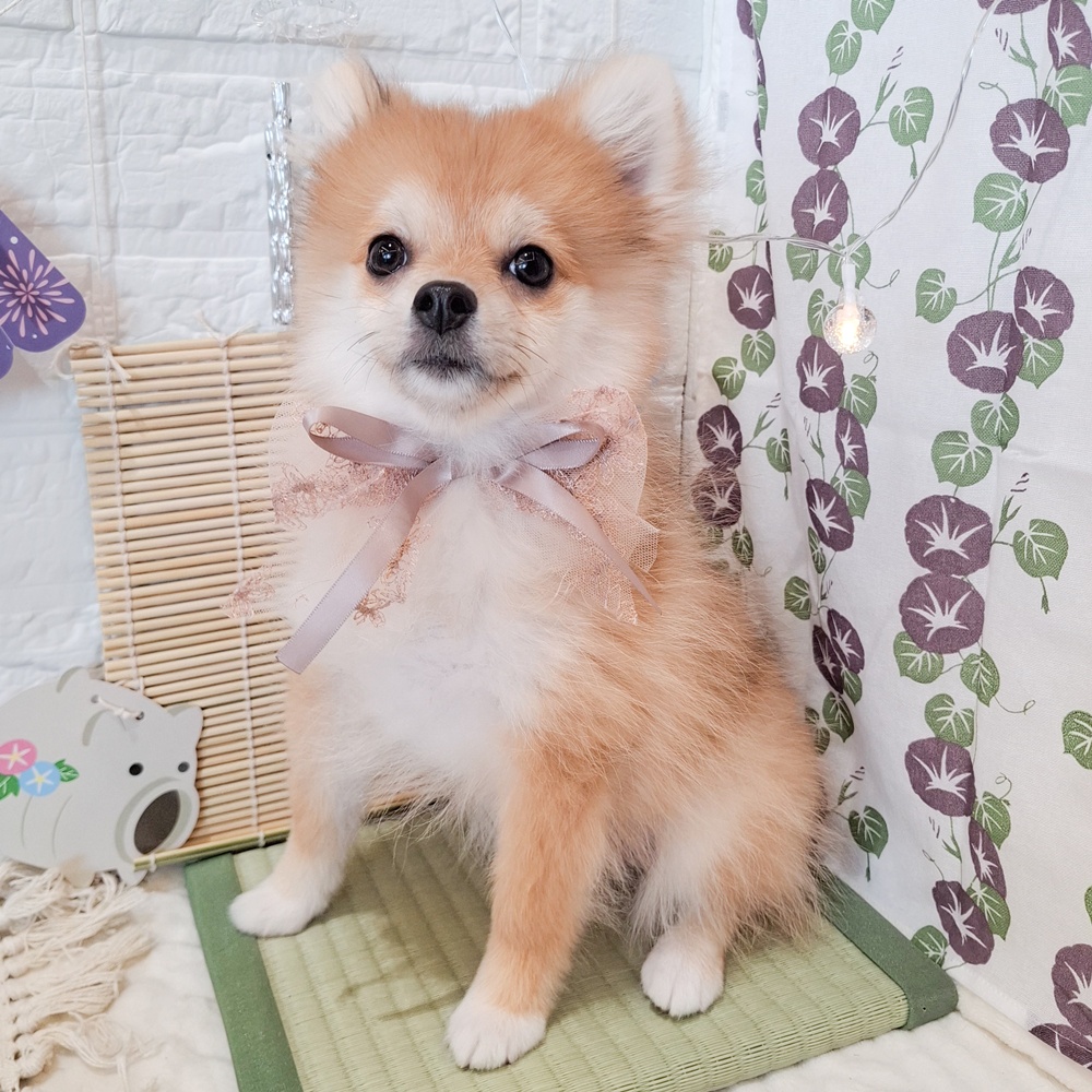 生体画像９