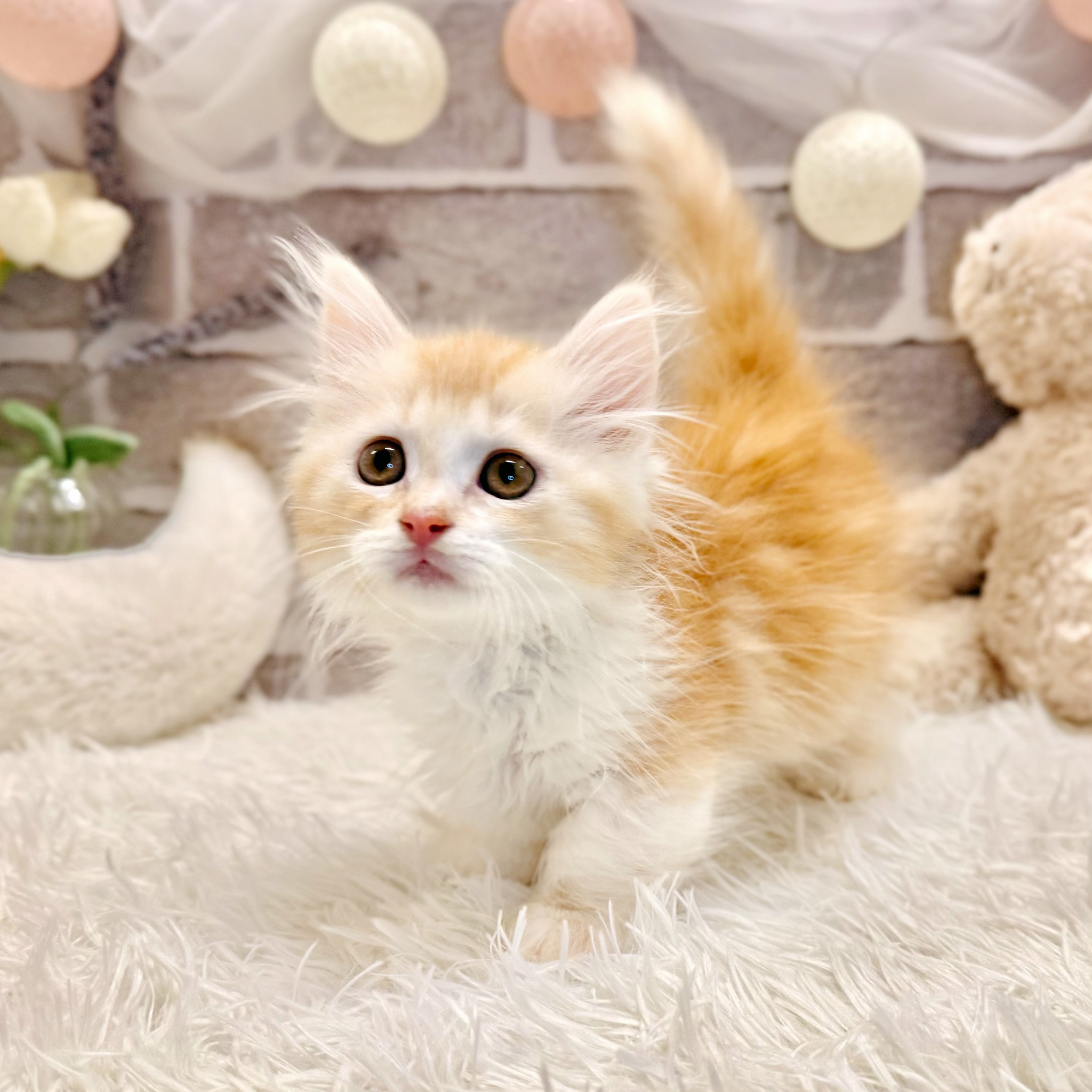 生体画像９
