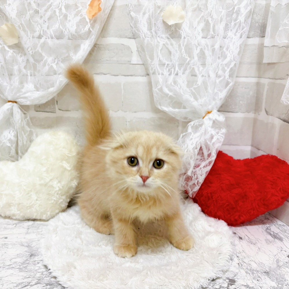 生体画像９