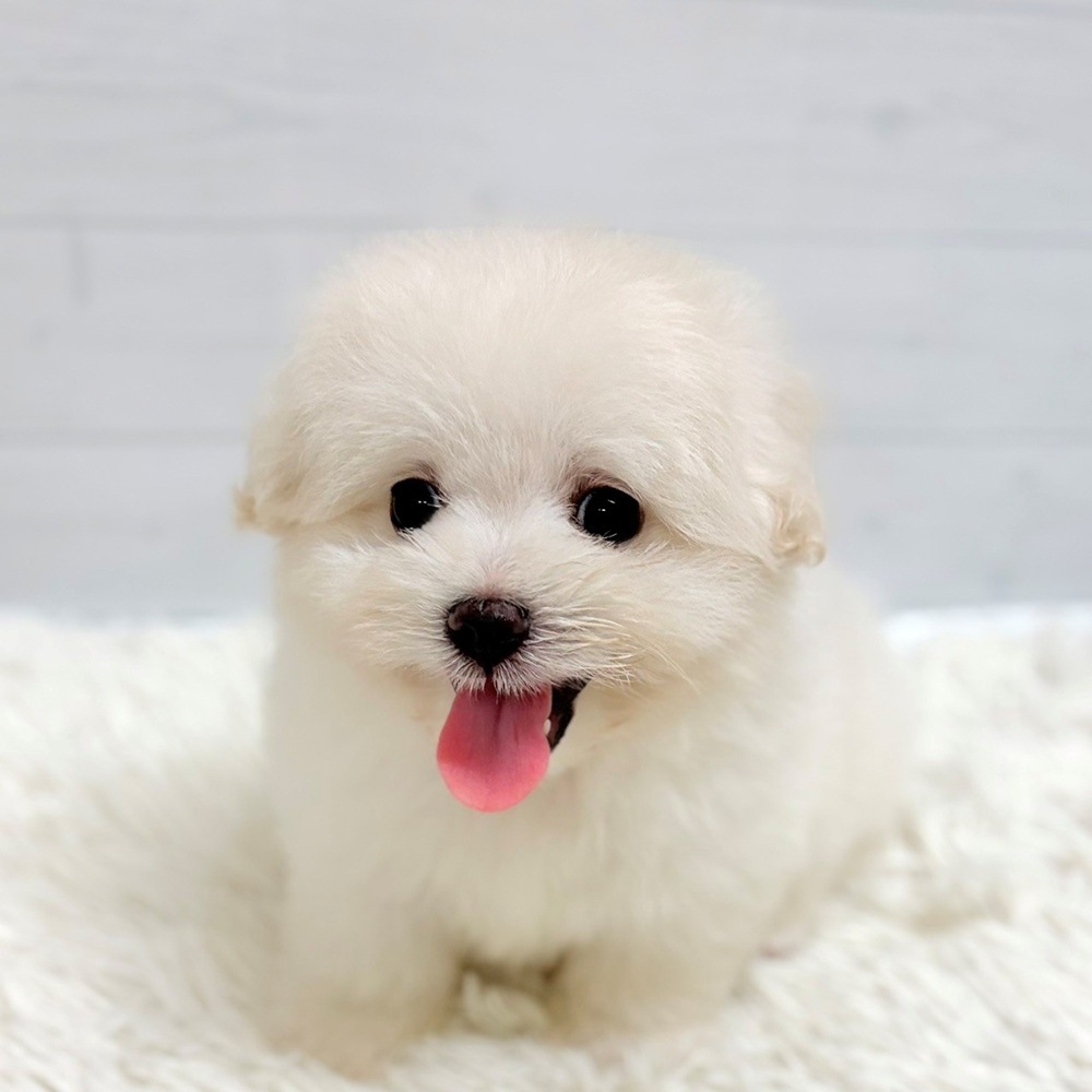 生体画像９
