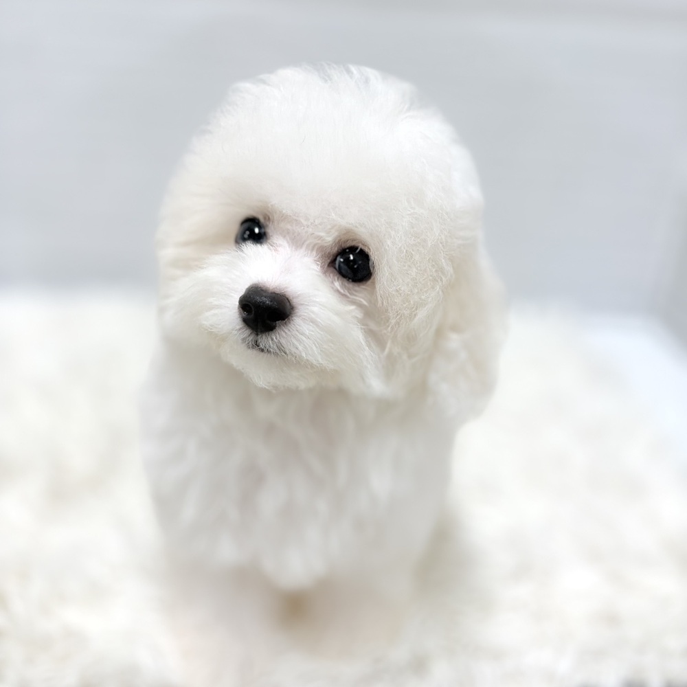 生体画像９