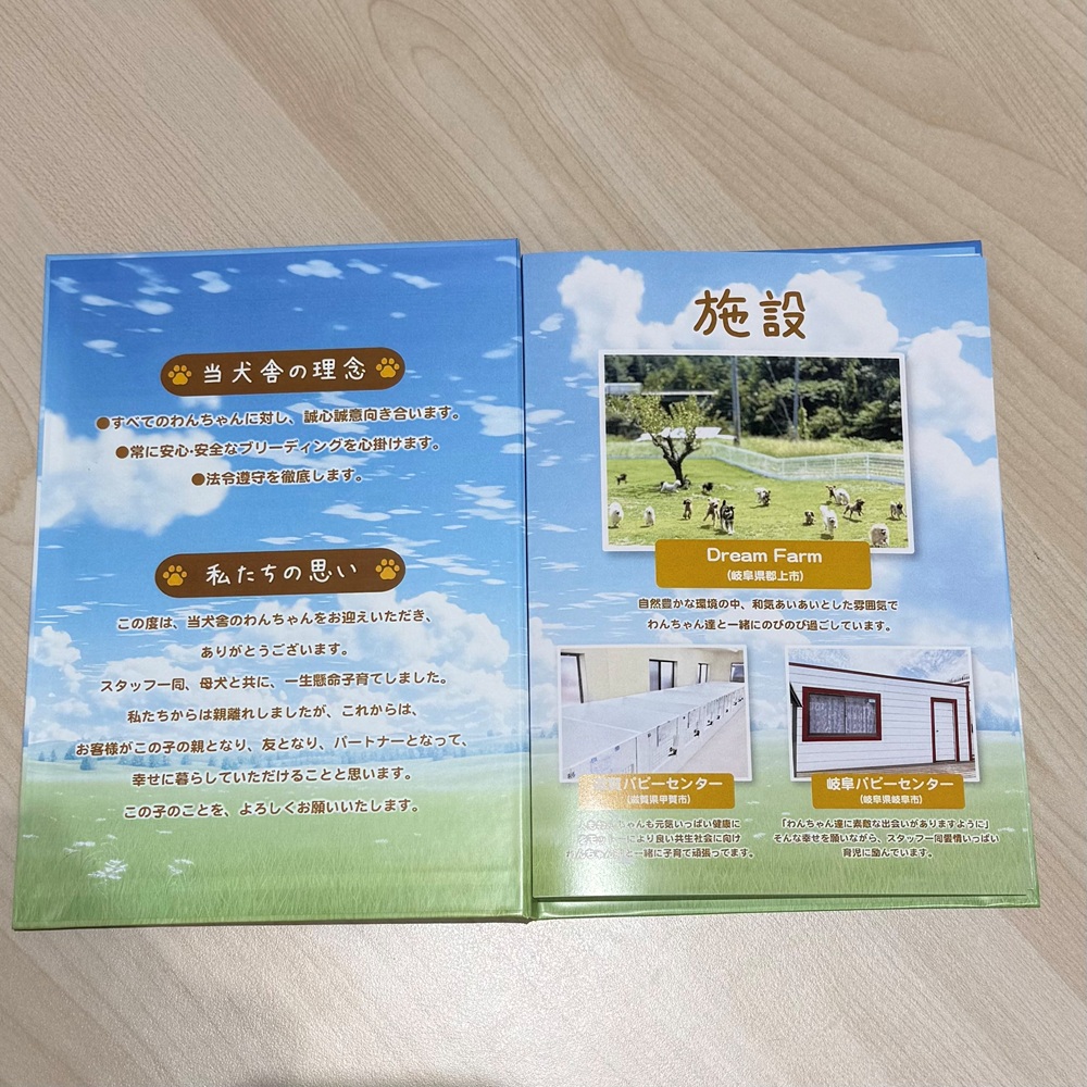 生体画像９