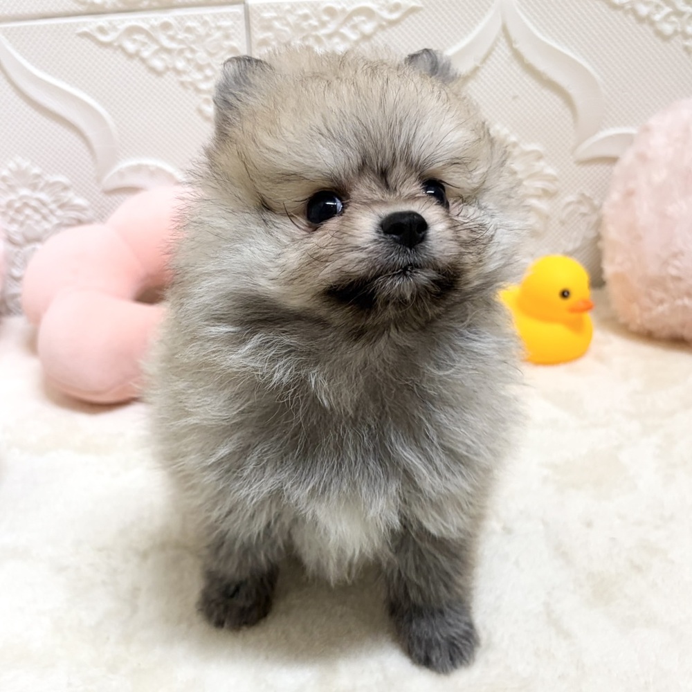 生体画像９