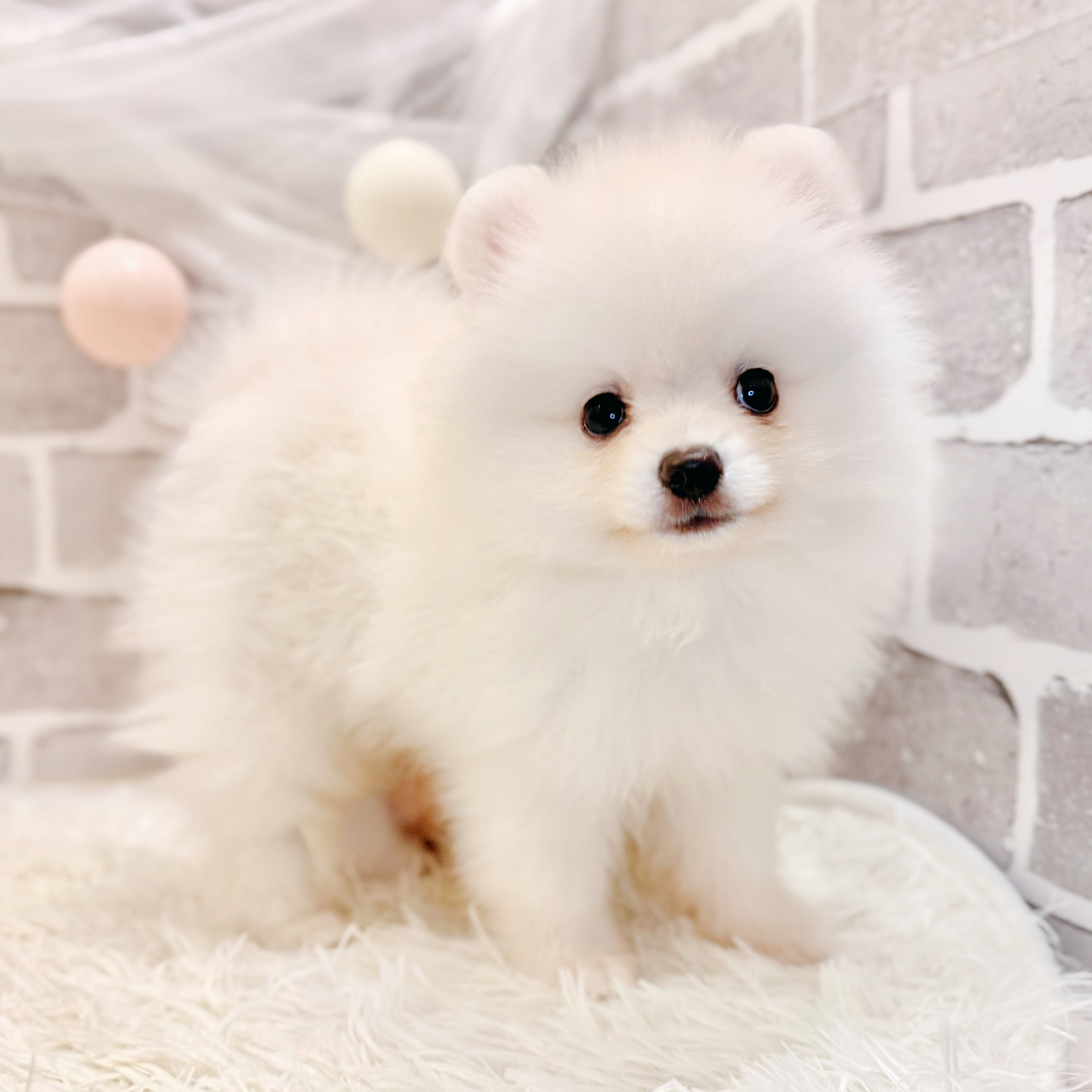 生体画像９
