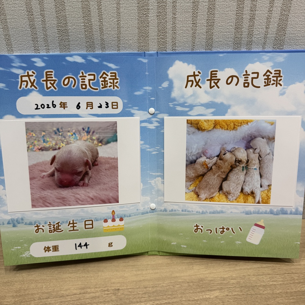 生体画像９