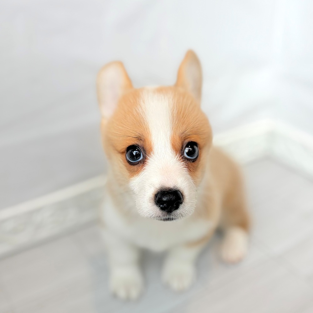 生体画像９