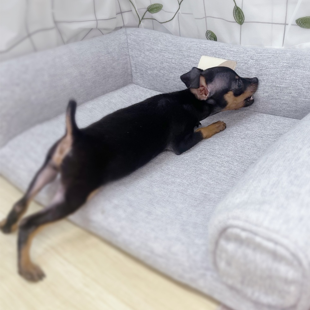 生体画像９