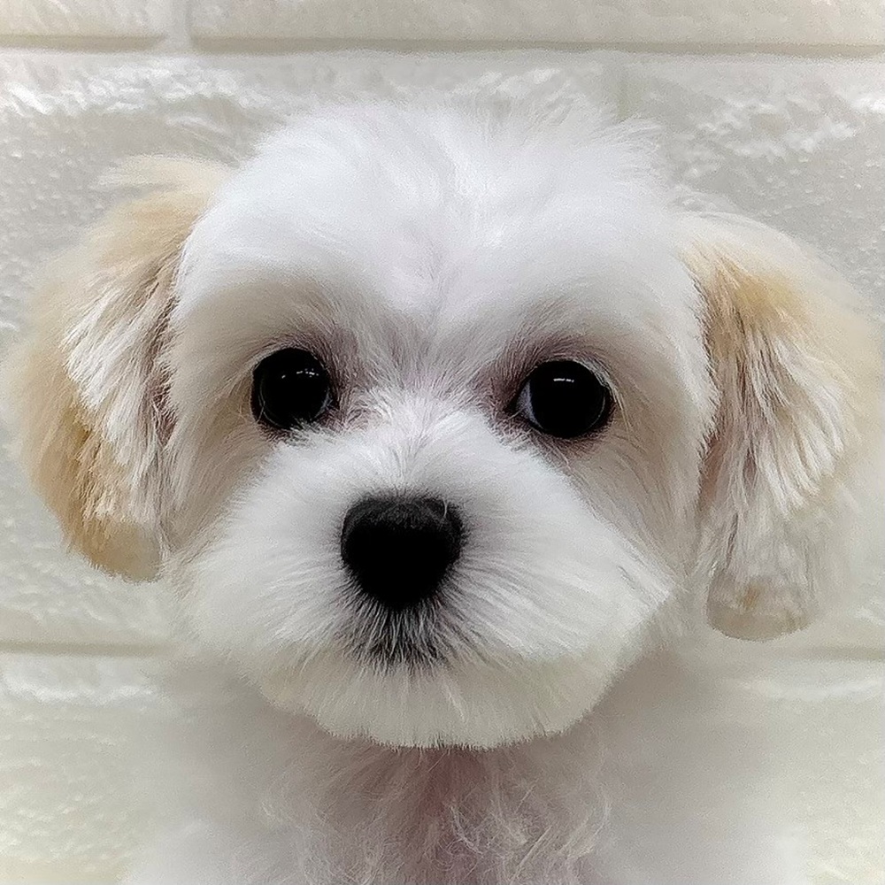 生体画像9