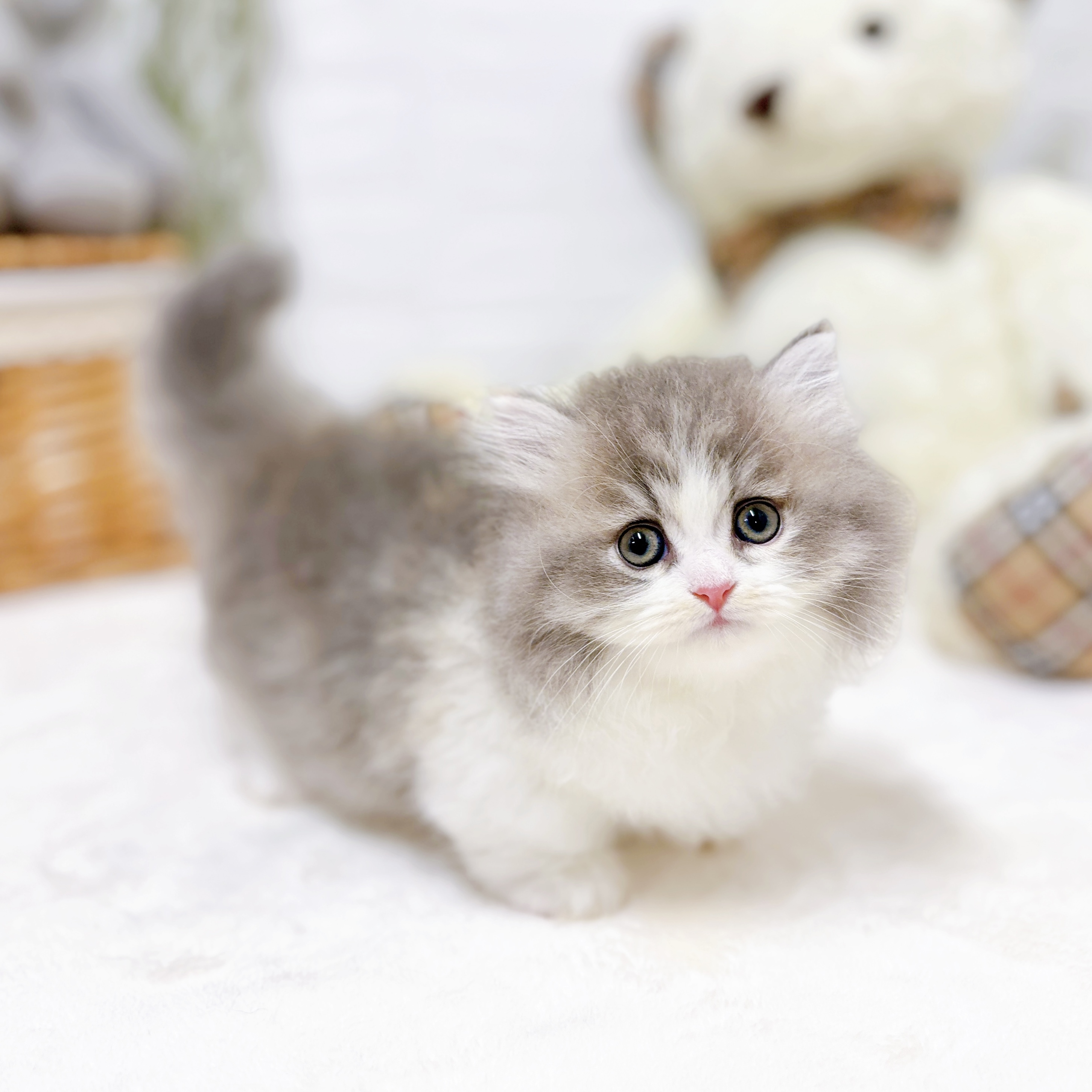 生体画像９