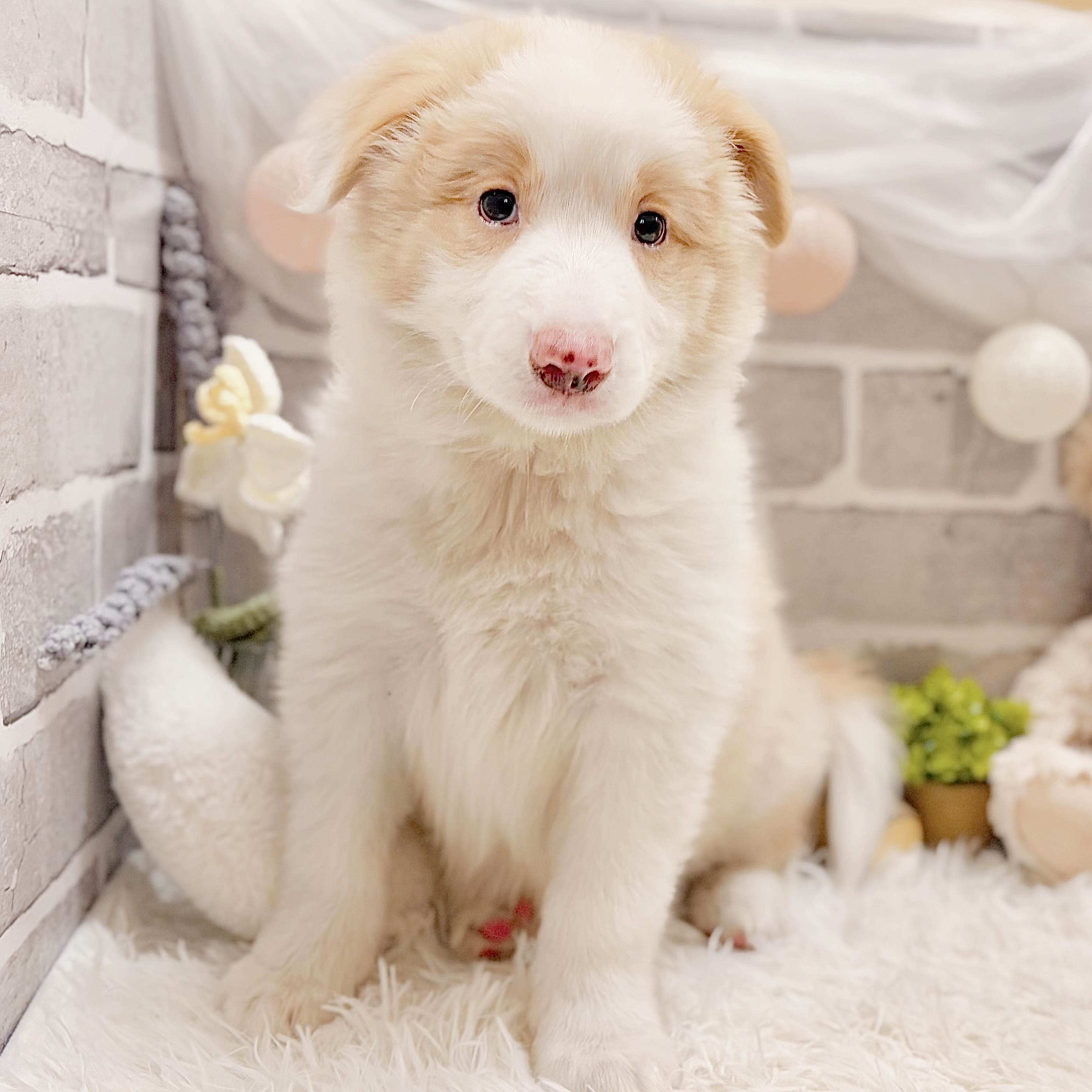 生体画像9