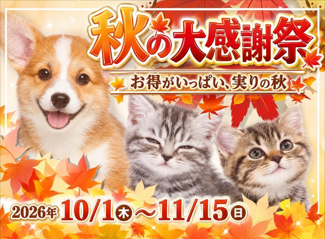 秋イベント
