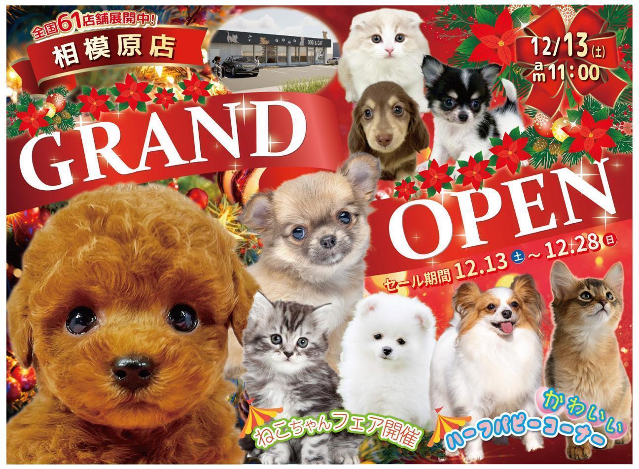 相模原グランドオープンセール