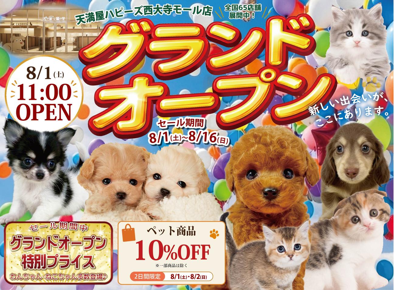 グランドオープン