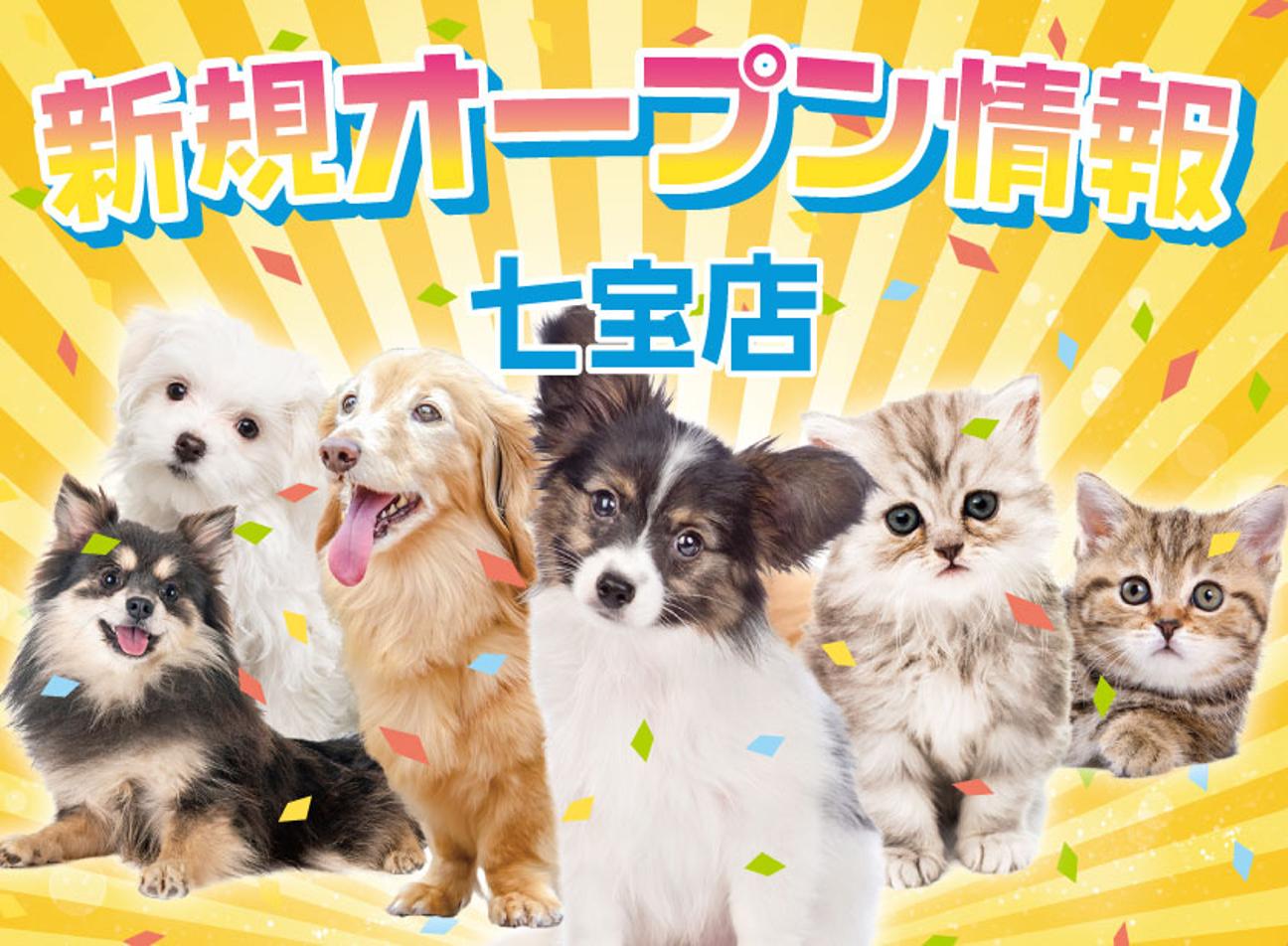 最新オープン情報【七宝店リニューアル・グランドオープン🎵】