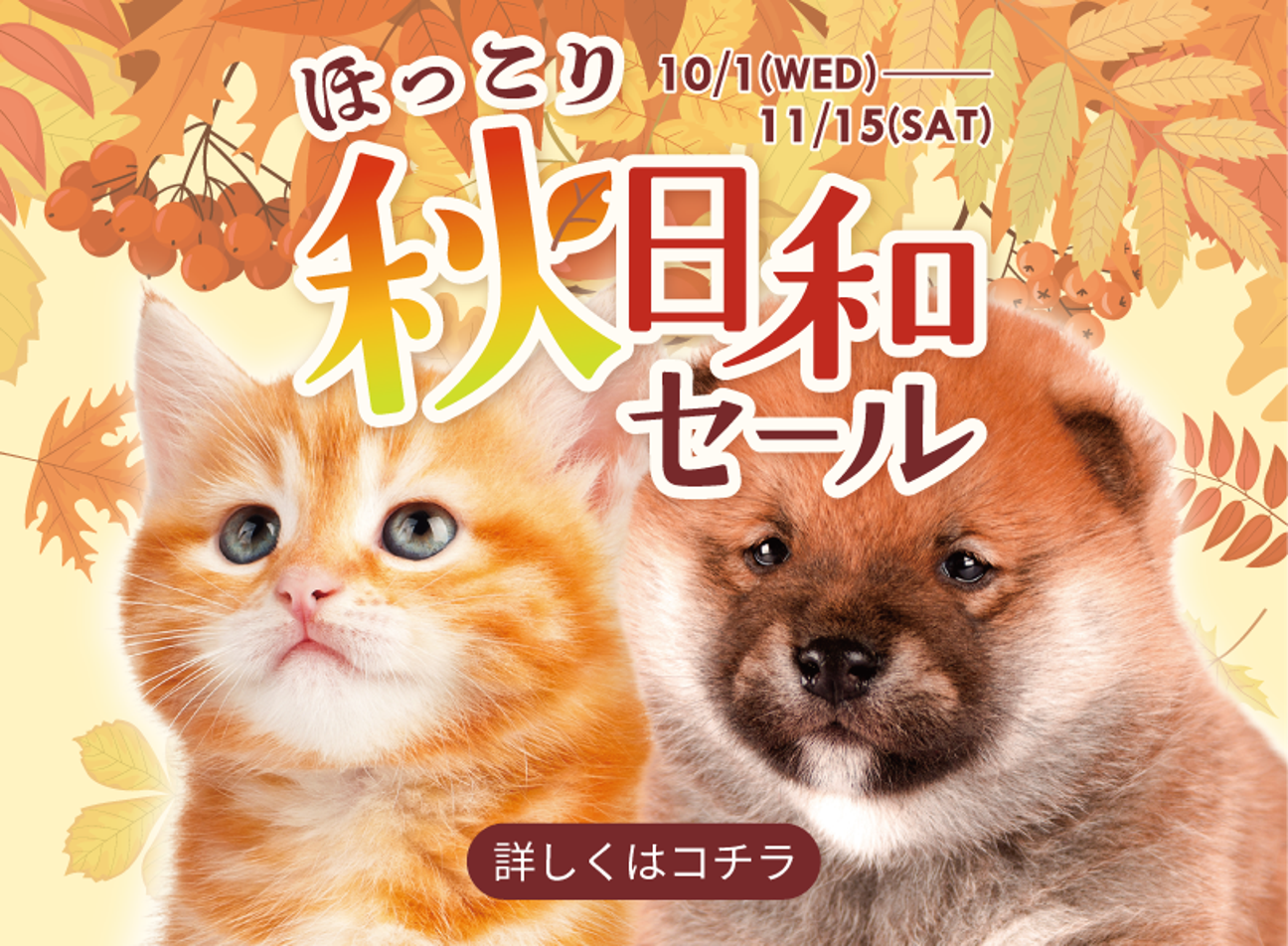 ほっこり秋日和セール