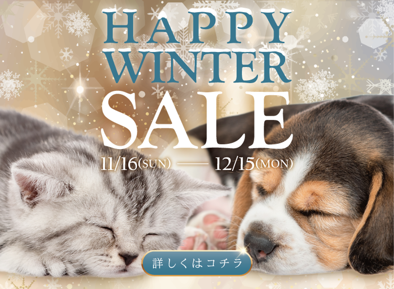 HAPPY WINTER SALE