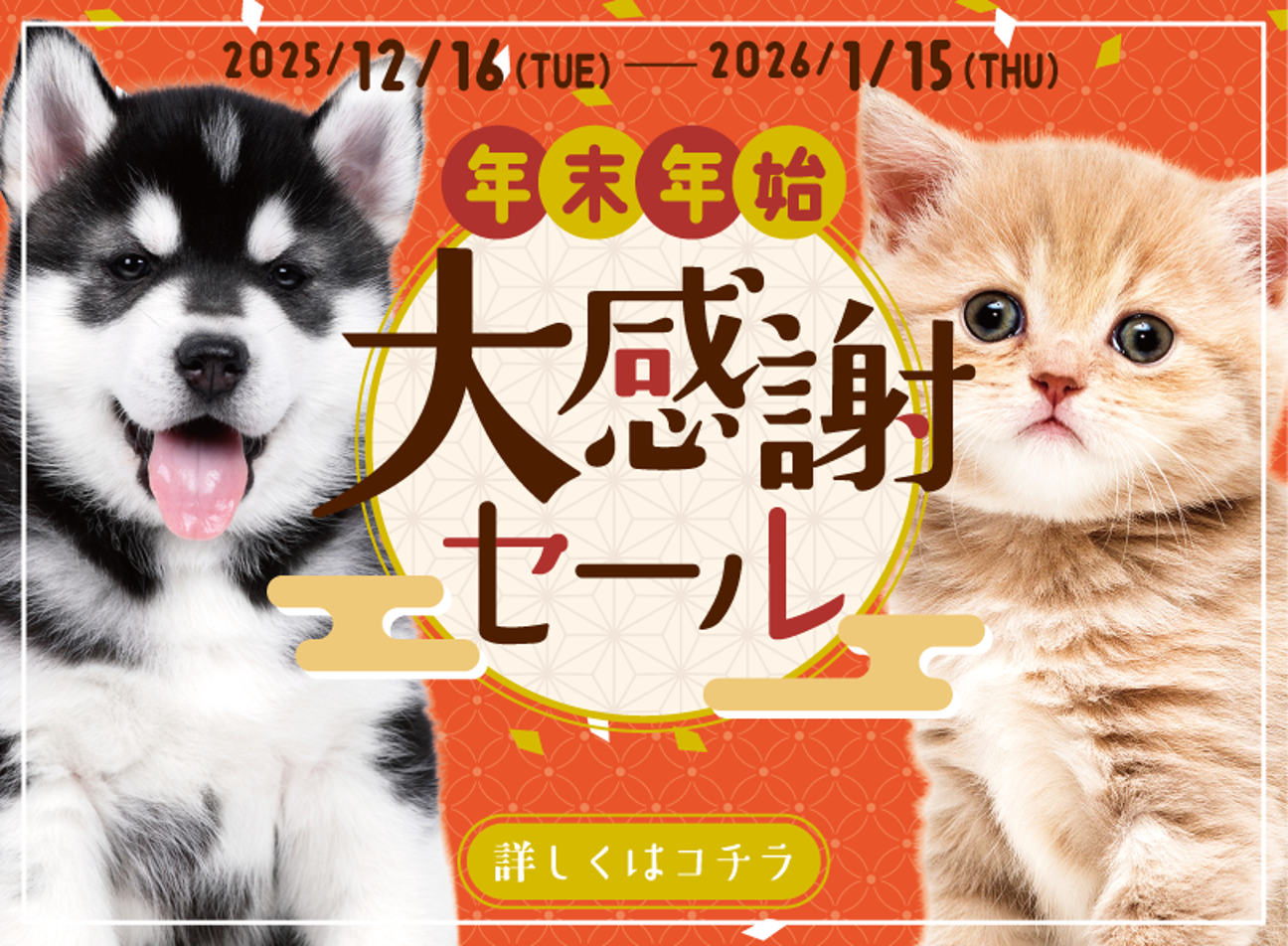 年末年始大感謝セール