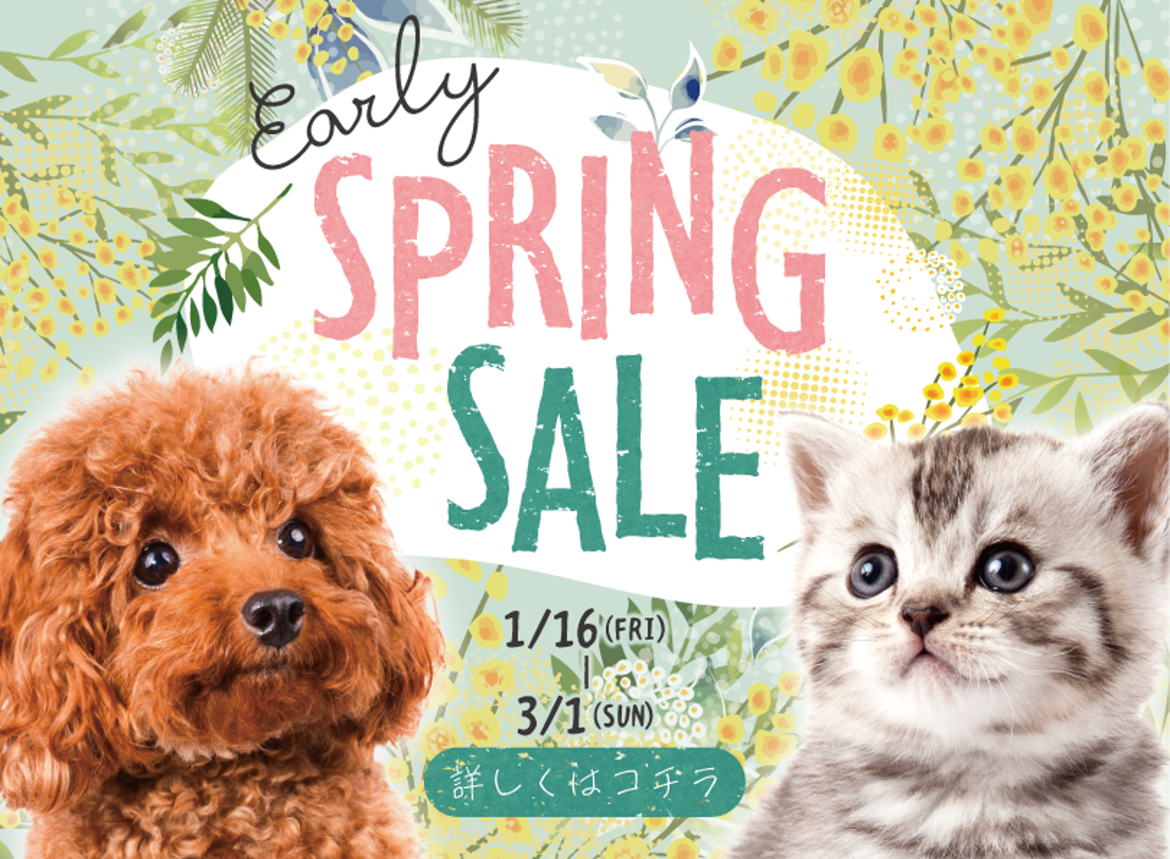 Early Spring Sale