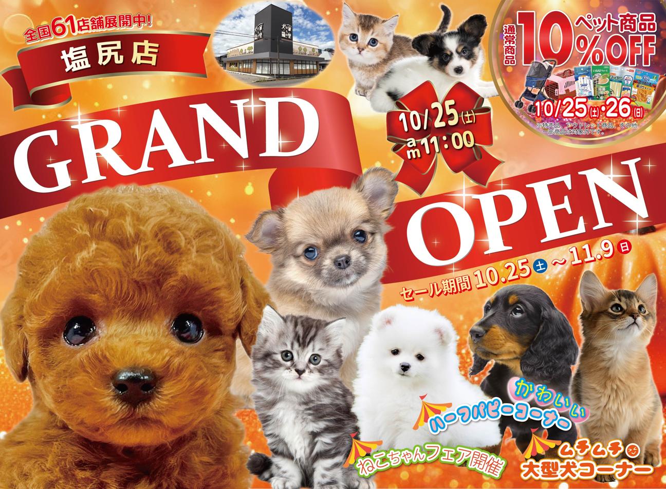 リニューアルセール